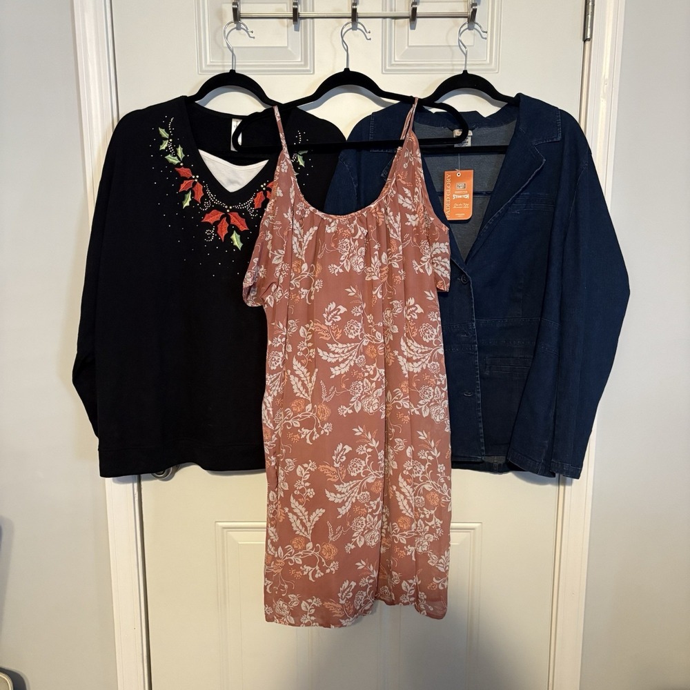 Lot of 3 Assorted Women's Clothing Size 3XL, Jean Jacket, Dress, Sweatshirt